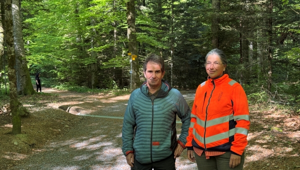 Maladies, changement climatique, incendies : les bûcherons du Chablais veillent sur la bonne santé de nos forêts   